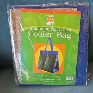 Blue and Silver Cooler Bag